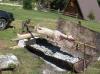 Grill am Ivan Do Grill am Ivan Do