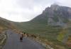 09 Durmitor (16) 18