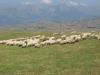 Durmitor > Sedlopass Durmitor > Sedlopass