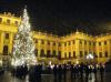 Quizbilder 2 Quizbilder 2