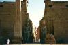 Luxor / Luxor-Tempel / Karnak / Theben 2