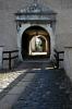 Wasserburg Heidenreichstein 4 Wasserburg Heidenreichstein 4