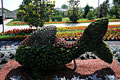 Blumenfisch Blumenfisch