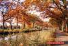 NL: Gelderland > Herbst am Apeldoorns Kanaal NL: Gelderland > Herbst am Apeldoorns Kanaal
