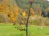 eine Tour im Herbst