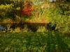 Ausflug an einem traumhaften Herbsttag Ausflug an einem traumhaften Herbsttag