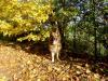 Ausflug an einem traumhaften Herbsttag Ausflug an einem traumhaften Herbsttag