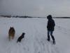 Spaziergang im ersten Schnee 2014 Spaziergang im ersten Schnee 2014