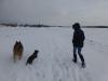 Spaziergang im ersten Schnee 2014