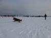 Spaziergang im ersten Schnee 2014