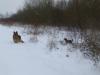 Spaziergang im ersten Schnee 2014