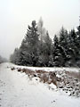 Winter im Waldviertel Winter im Waldviertel