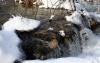 Wintermärchen Plitvice 2 Wintermärchen Plitvice 2