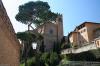 SIENA > Chiesa di San Domenico