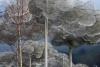2 8 Kristallwelten Wattens 072a 2 8 Kristallwelten Wattens 072a