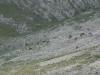 Radltour zur Feilalm oberhalb des Achensees Radltour zur Feilalm oberhalb des Achensees