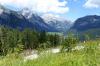 Hochmoosalm Hochmoosalm