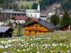 Geburtstagsausflug ins Zillertal 8 Geburtstagsausflug ins Zillertal 8