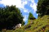 Engelberg 18 Engelberg 18