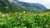 SCHWEIZ>Berner Oberland-bei Thun SCHWEIZ>Berner Oberland-bei Thun