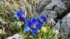 SCHWEIZ>Berner Oberland-bei Thun SCHWEIZ>Berner Oberland-bei Thun