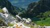 SCHWEIZ>Berner Oberland-bei Thun SCHWEIZ>Berner Oberland-bei Thun