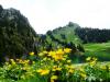 SCHWEIZ>Berner Oberland-bei Thun SCHWEIZ>Berner Oberland-bei Thun
