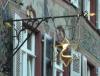 RHEINFELDEN > Zunftzeichen > Salmen RHEINFELDEN > Zunftzeichen > Salmen