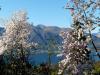 Tessin, eine Reise in den Sommer , Teil 2 Vielfalt und Schönheit, Verzascatal 2 Tessin, eine Reise in den Sommer , Teil 2 Vielfalt und Schönheit, Verzascatal 2