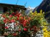 Tessin, eine Reise in den Sommer , Teil 2 Vielfalt und Schönheit, Verzascatal Tessin, eine Reise in den Sommer , Teil 2 Vielfalt und Schönheit, Verzascatal