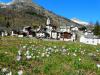 Tessin, eine Reise in den Sommer , Teil 3, Nachtstimmung u. Maggiatal 4 Tessin, eine Reise in den Sommer , Teil 3, Nachtstimmung u. Maggiatal 4