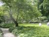 AUGSBURG > BotanischerGarten42 > Japanischer Garten