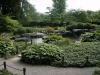 AUGSBURG > BotanischerGarten54 > Japanischer Garten