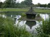 AUGSBURG > BotanischerGarten67 > See AUGSBURG > BotanischerGarten67 > See