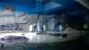 Nacht der Biodiversität, Tierpark Hellabrunn Nacht der Biodiversität, Tierpark Hellabrunn