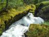 N:Geiranger>Wildbach N:Geiranger>Wildbach