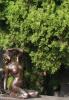 MILANO > Cimitero Monumentale (Friedhof) > Grabfigur MILANO > Cimitero Monumentale (Friedhof) > Grabfigur