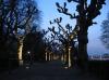 FRANKFURT > Allee FRANKFURT > Allee