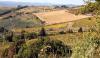 CHIANTI > bei Panzano CHIANTI > bei Panzano