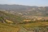 CHIANTI > bei Greve CHIANTI > bei Greve