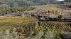 CHIANTI > bei Greve CHIANTI > bei Greve