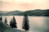 1936,Titisee 1936,Titisee