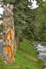 I: BURGEIS (Trentino – Südtirol) > Baumstammfigur I: BURGEIS (Trentino – Südtirol) > Baumstammfigur