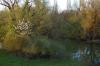 800Weltenburg 007 800Weltenburg 007