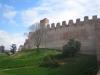 Cittadella 8