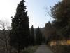 Monte Ricco (7) Monte Ricco (7)