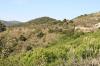 Monte Argentario 5 Monte Argentario 5