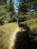 FELDBERG > aa 21 Wanderweg zur Zastlerhütte