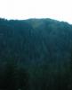 FELDBERG > aa 32 Blick von der Zastlerhütte zum Feldberggipel