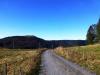 Im Südschwarzwald bei Bernau Im Südschwarzwald bei Bernau